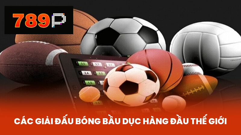 Các Giải Đấu Bóng Bầu Dục Hàng Đầu Thế Giới