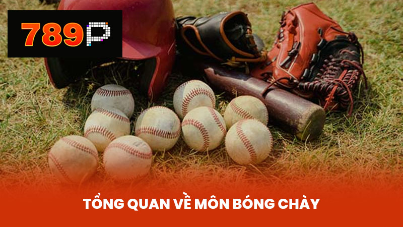 Tổng Quan Về Môn Bóng Chày