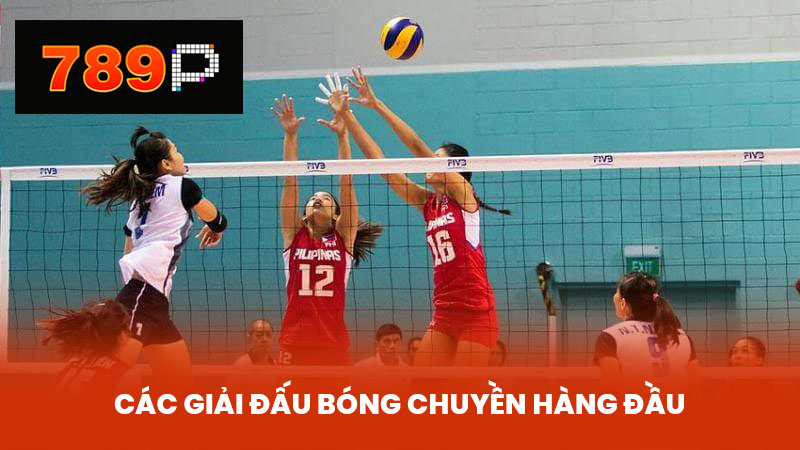 Các Giải Đấu Bóng Chuyền Hàng Đầu