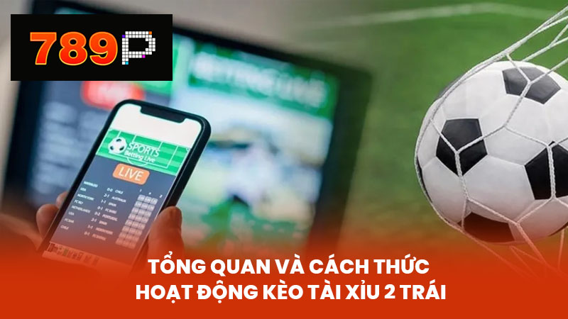 Tổng Quan và Cách Thức Hoạt Động Kèo Tài Xỉu 2 Trái
