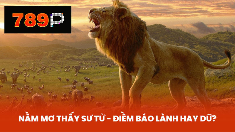 Nằm mơ thấy sư tử - Điềm báo lành hay dữ?