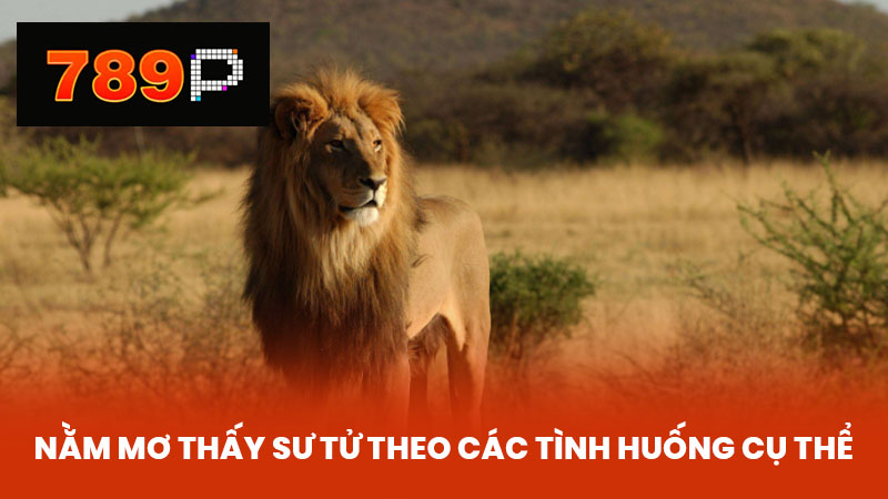 Nằm mơ thấy sư tử theo các tình huống cụ thể